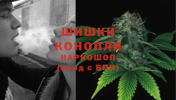мдпв Богородск