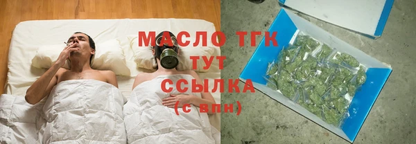 мдпв Богородск