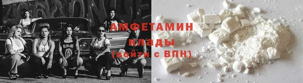 прущие грибы Покров