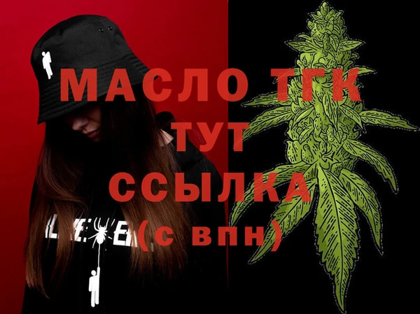 мдпв Богородск
