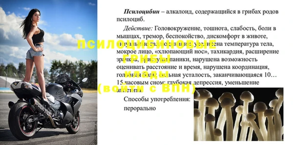 мдпв Богородск