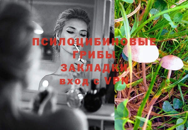 кокаин Богданович