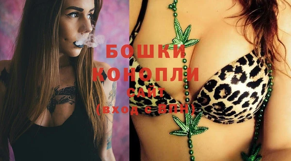 мдпв Богородск